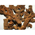 Professional supply purity natural buy galangal with high quality